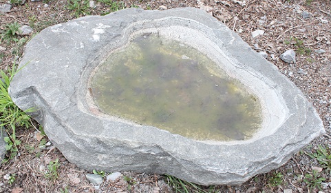 Vogeltrnke Stein-Brunnen Naturstein Gartenbrunnen Vorarlberg Lustenau Dornbirn Bregenz Feldkirch Bludenz Vorarlberg